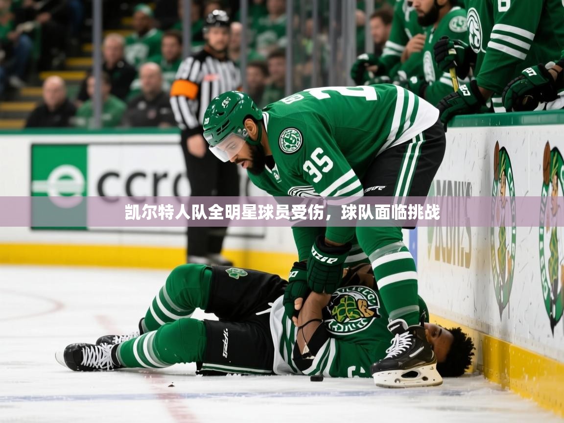 2025九游娱乐入口凯尔特人队全明星球员受伤，球队面临挑战