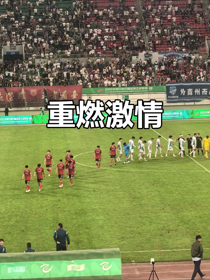 球迷们为国际足球比赛呐喊助威